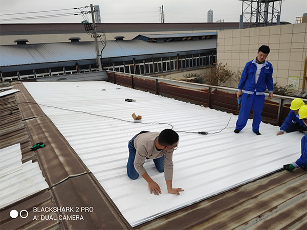 一TSP塑钢融合瓦案例展示一