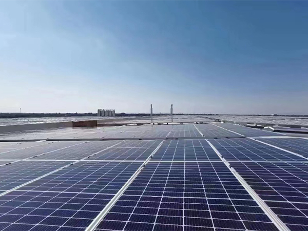 一TSP塑钢融合瓦案例展示一