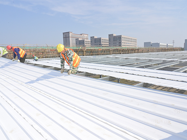 一TSP塑钢融合瓦案例展示一