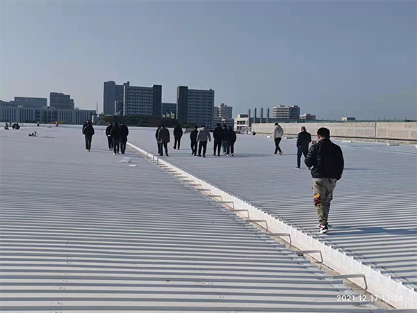 一TSP塑钢融合瓦案例展示一