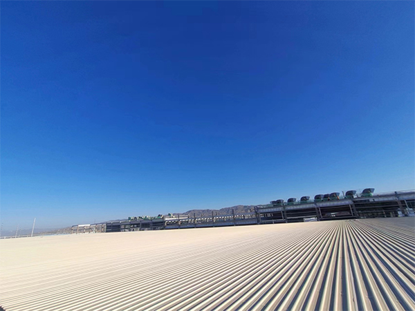 一TSP塑钢融合瓦案例展示一